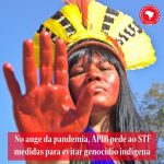 Povos indígenas acionam o Supremo para impedir genocídio