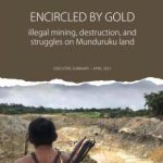 O Comitê lança Nota Técnica: O Cerco do Ouro – Garimpo ilegal, destruição e luta em terras Munduruku em inglês