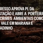 URGENTE: Congresso aprova PL da Devastação   e abre a  porteira para crimes  ambientais como os da Vale em Mariana e Brumadinho