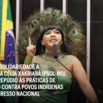 Nota de Solidariedade a Deputada Célia Xakriabá (PSOL-MG)  e total repúdio às práticas de racismo contra povos indígenas no Congresso Nacional